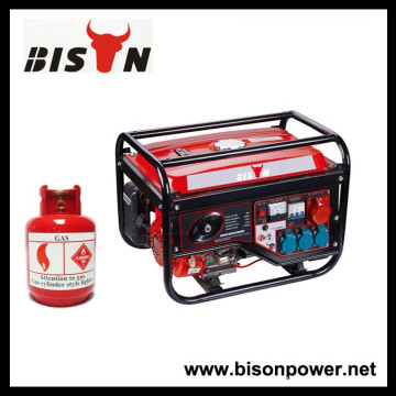 BISON(CHINA) Generate Electricity For Home Power Standby Methane Electric Generator